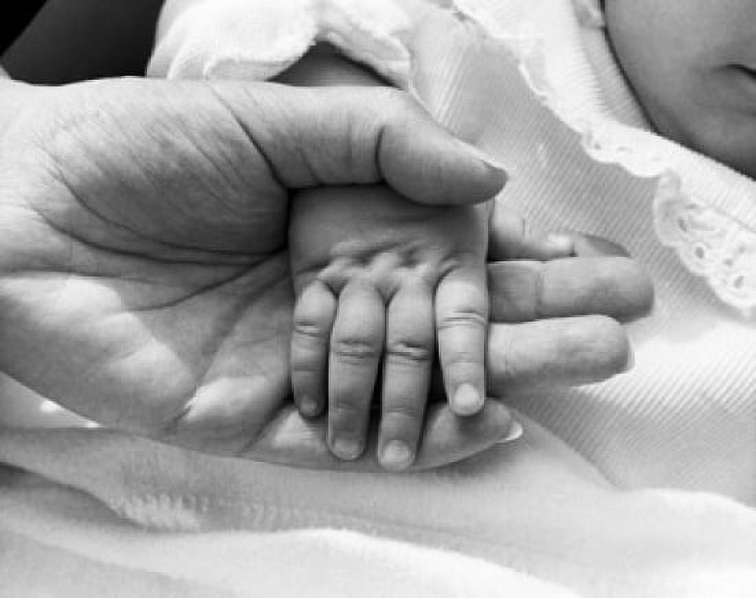 Close-up of an adult hand holding an infants hand Canvas Art - (18 x 24)