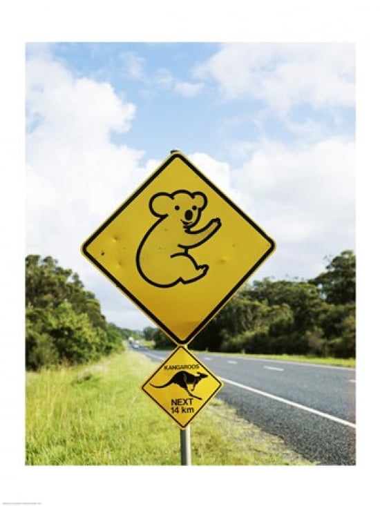 Close-up of animal crossing sign on a roadside Australia Canvas Art - (18 x 24)