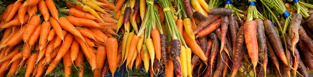 Close-up of carrots at market stall Canvas Art - Panoramic Images (36 x 12)