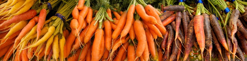Close-up of carrots at market stall Canvas Art - Panoramic Images (36 x 12)