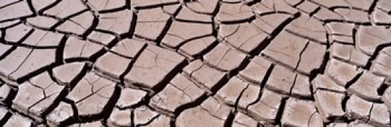Close-up of cracked mud South Dakota USA Canvas Art - Panoramic Images (36 x 12)
