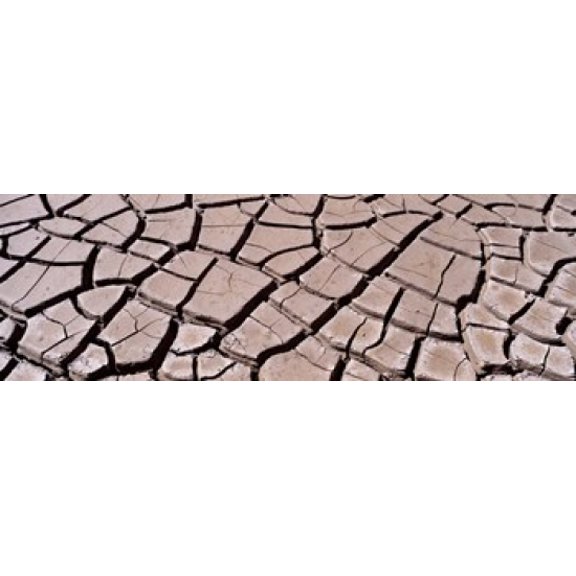 Close-up of cracked mud South Dakota USA Canvas Art - Panoramic Images (36 x 12)