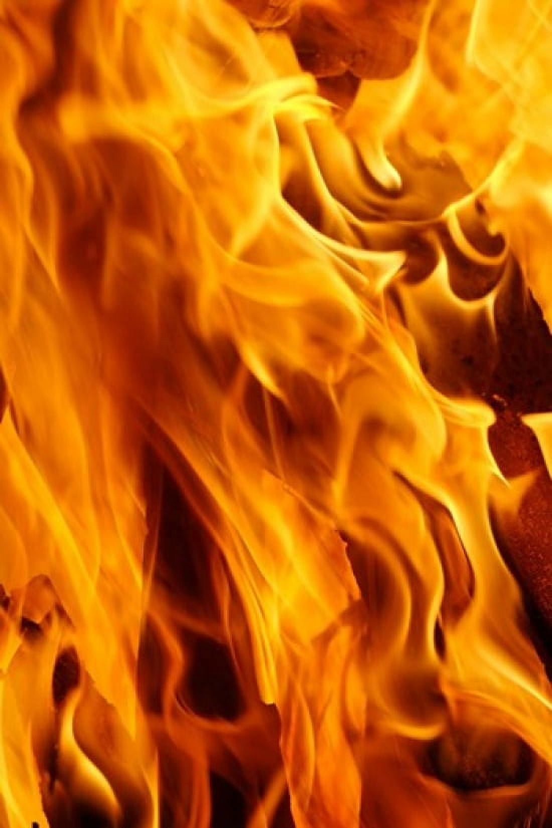 Close-up of fire flames Jodhpur India Canvas Art - Adam Jones DanitaDelimont (23 x 35)