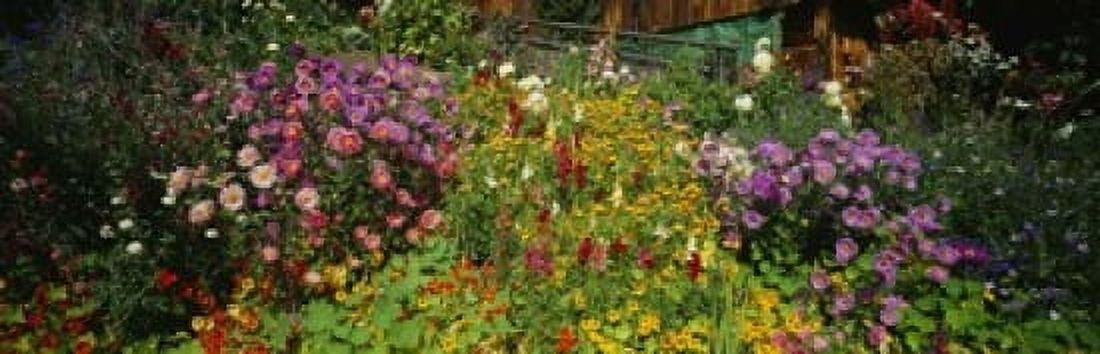 Close-up of flowers Muren Switzerland Canvas Art - Panoramic Images (18 x 6)