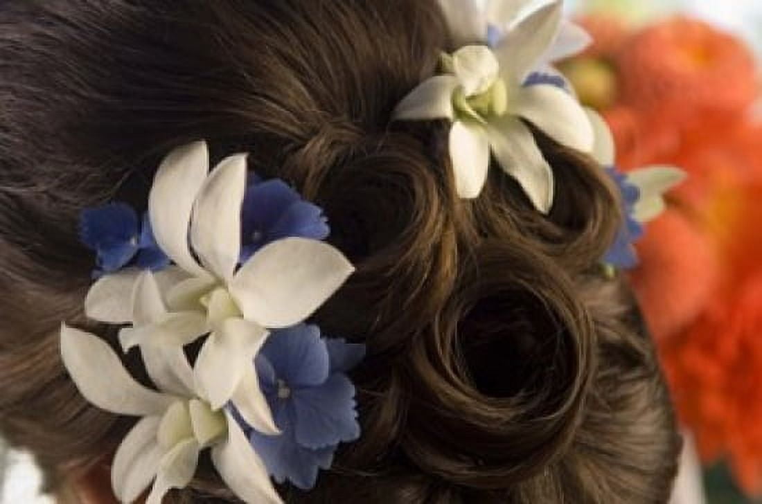 Close-up of flowers in a brides hair Bainbridge Island Washington State USA Canvas Art - Panoramic Images (16 x 11)