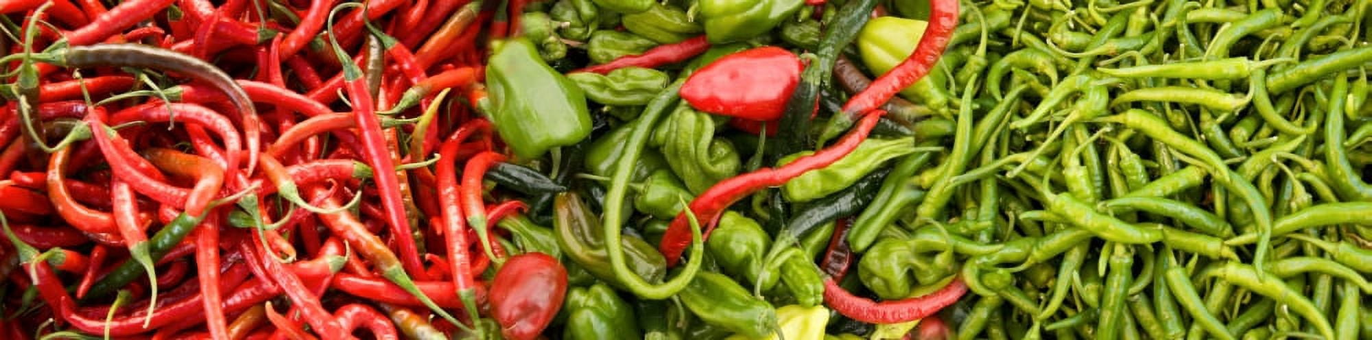 Close-up of green and red chili peppers at market stall Canvas Art - Panoramic Images (27 x 9)