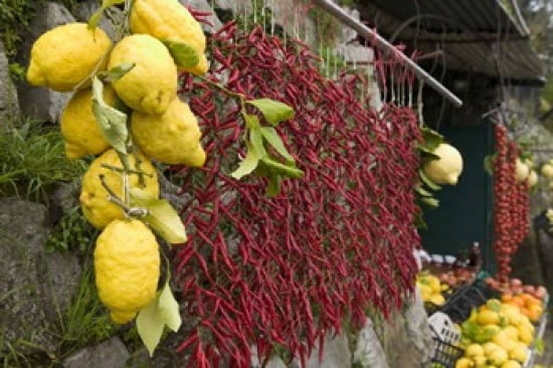 Close-up of lemons and chili peppers in a market stall Sorrento Naples Campania Italy Canvas Art - Panoramic Images (16 x 11)