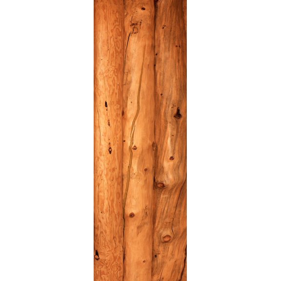 Close-up of log house, Oregon, USA Poster Print by Panoramic Images (36 x 12)