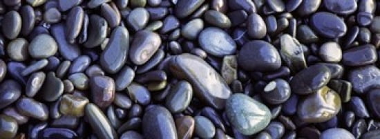 Close-up of pebbles Sandymouth Beach Cornwall England Canvas Art - Panoramic Images (36 x 13)