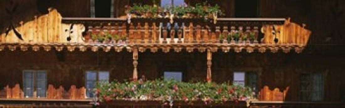 Close-up of potted plants on balcony railings Tirol Austria Canvas Art - Panoramic Images (18 x 6)