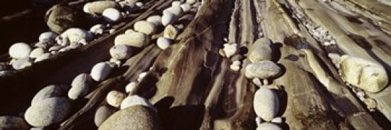 Close-up of stones Pemaquid Massachusetts USA Canvas Art - Panoramic Images (36 x 12)