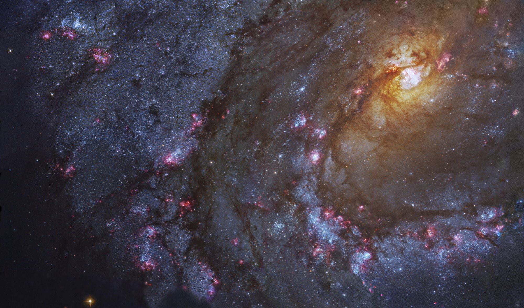 Close-up of the Southern Pinwheel Galaxy Canvas Art - Robert GendlerStocktrek Images (37 x 22)