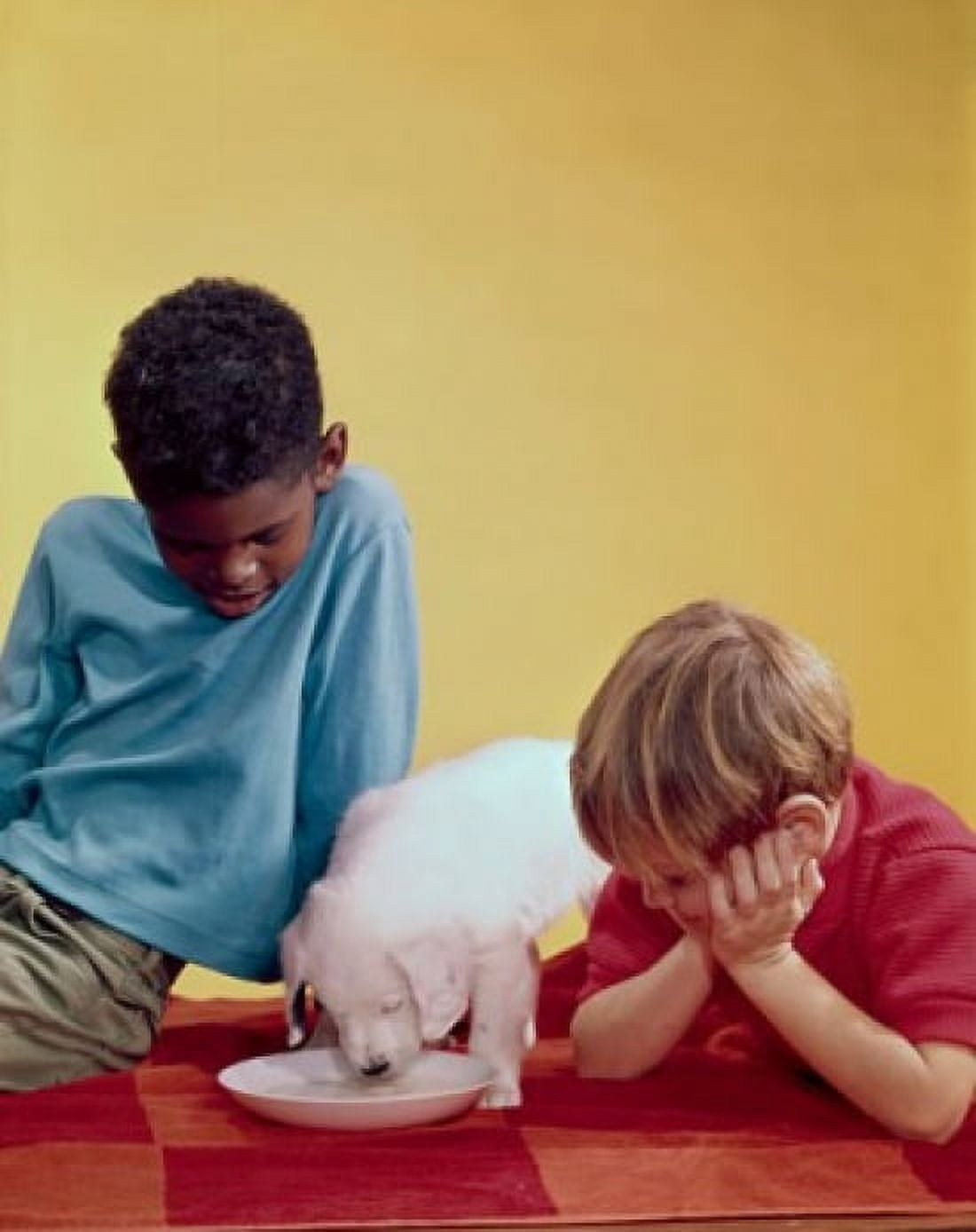Close-up of two boys looking at a puppy drinking milk from a saucer Canvas Art - (18 x 24)