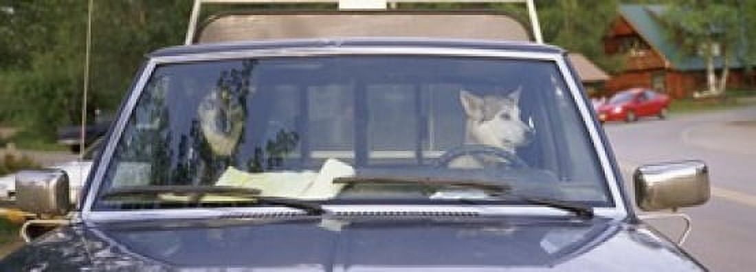 Close-up of two dogs in a pick-up truck Main Street Talkeetna Alaska USA Canvas Art - Panoramic Images (18 x 7)