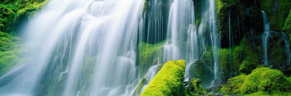 Close-up of waterfall on moss covered rocks Canvas Art - Panoramic Images (36 x 12)