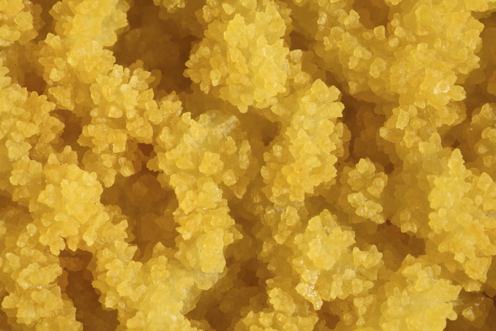 Close-up of yellow salt crystals in the Dallol geothermal area Danakil Depression Ethiopia Canvas Art - Richard RoscoeStocktrek Images (18 x 12)
