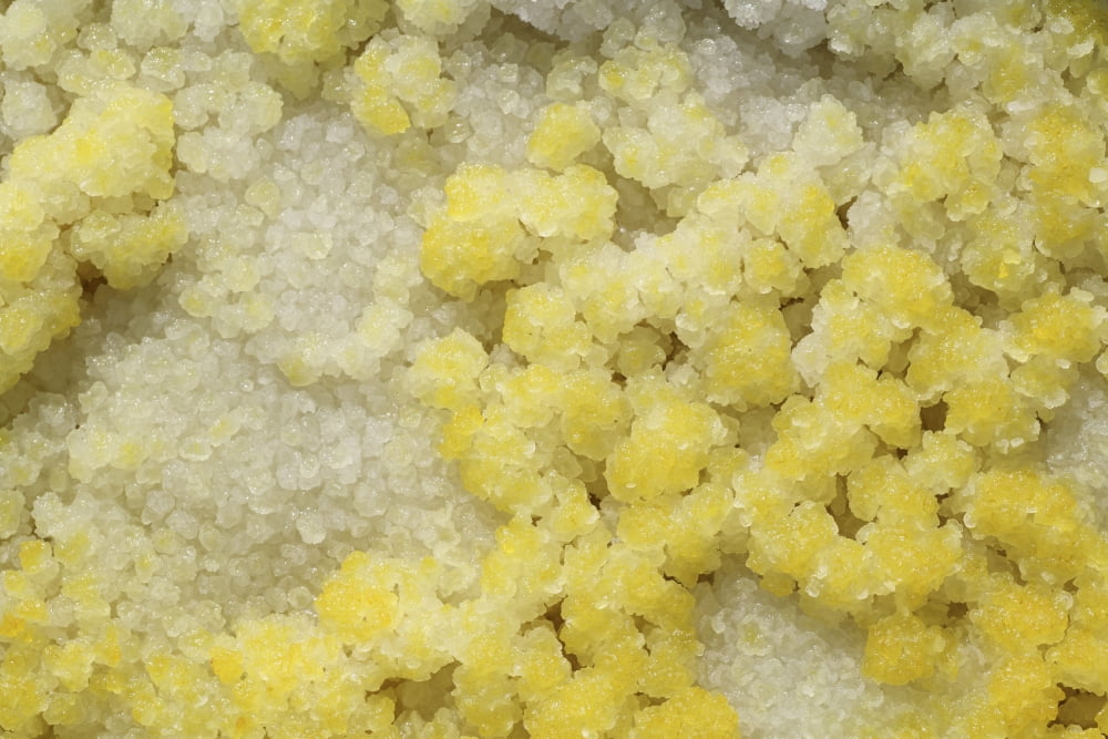 Close-up of yellow salt crystals in the Dallol geothermal area Danakil Depression Ethiopia Canvas Art - Richard RoscoeStocktrek Images (18 x 12)
