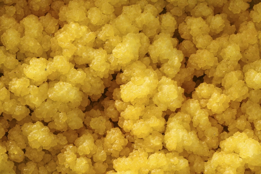 Close-up of yellow salt crystals in the Dallol geothermal area Danakil Depression Ethiopia Canvas Art - Richard RoscoeStocktrek Images (18 x 12)