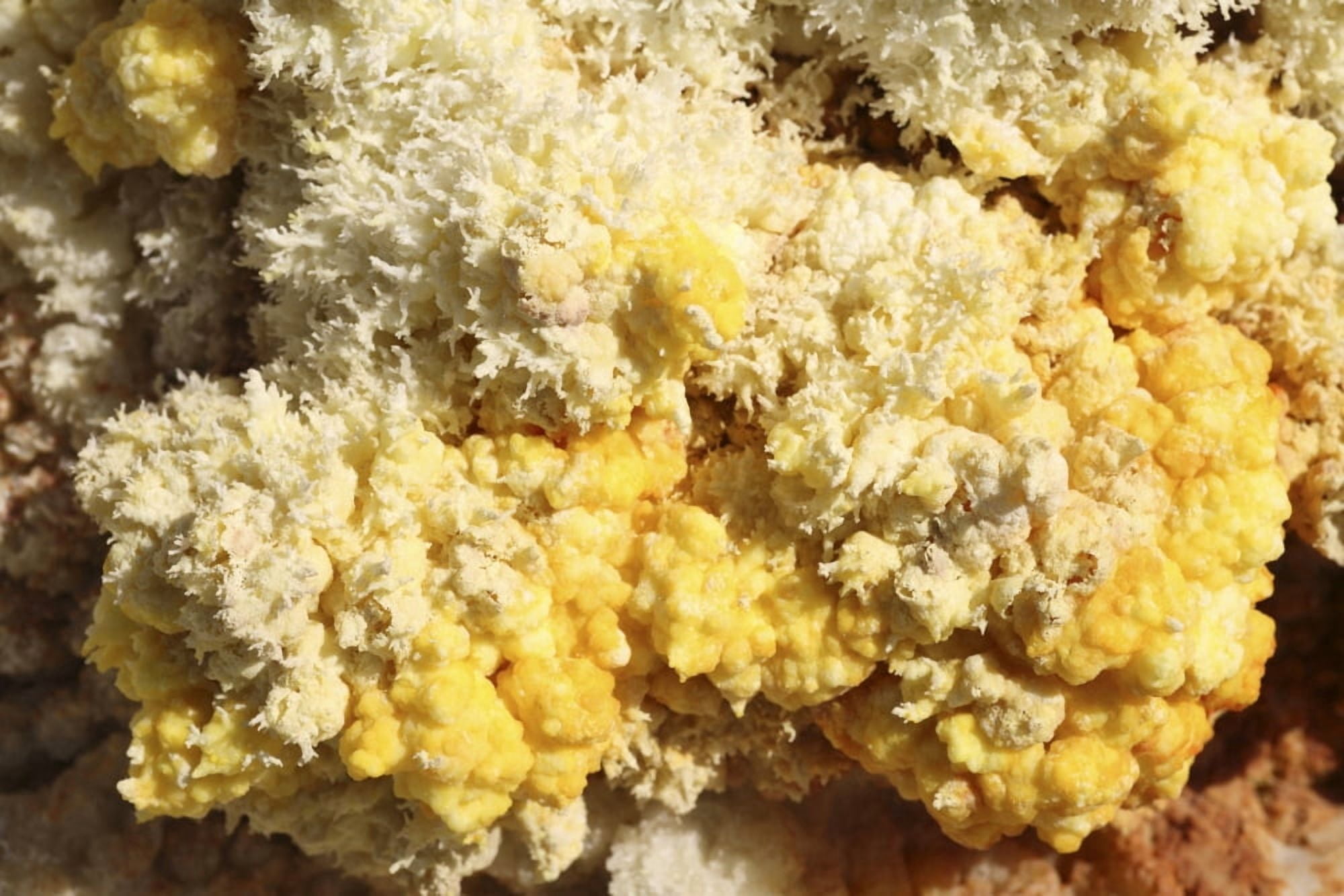Close-up of yellow salt crystals in the Dallol geothermal area Danakil Depression Ethiopia Canvas Art - Richard RoscoeStocktrek Images (18 x 12)