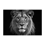 Close-up photograph of a lion. - Photography Black and White Animal Wildlife Portrait Nature Jungle Unframed Wall Art Print 32 x 48 inches