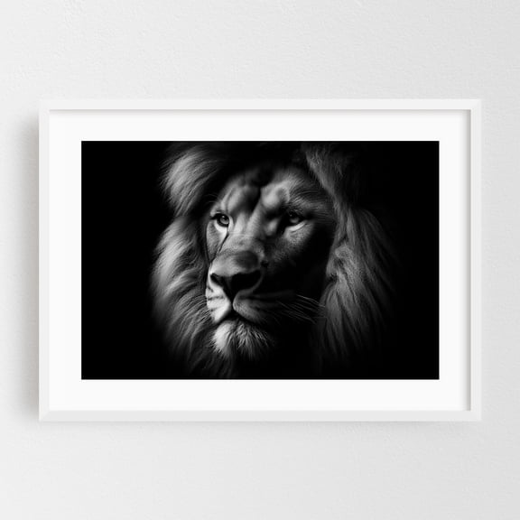 Close-up photograph of a lion - Photography Black and White Wildlife Animal Portrait Nature Moody White Framed Wall Art Print 5 x 7 inches