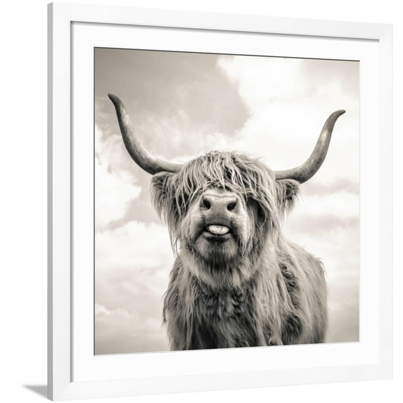 Close up portrait of Scottish Highland cattle on a farm Framed Photographic Print by Mark Gemmell, 30" x 30", Sold by Art.com