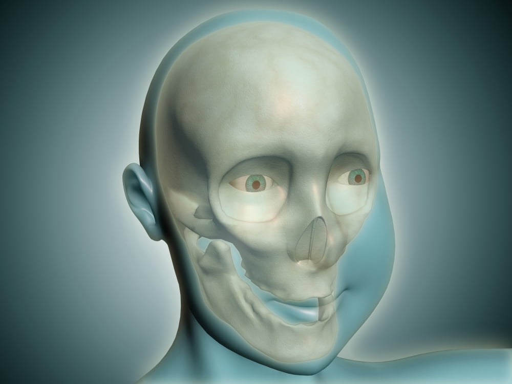 Close-up view of human skull with x-ray body Canvas Art - Stocktrek Images (17 x 13)