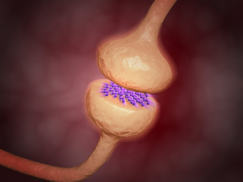 Close-up view of the synapse in the nervous system Canvas Art - Stocktrek Images (17 x 13)