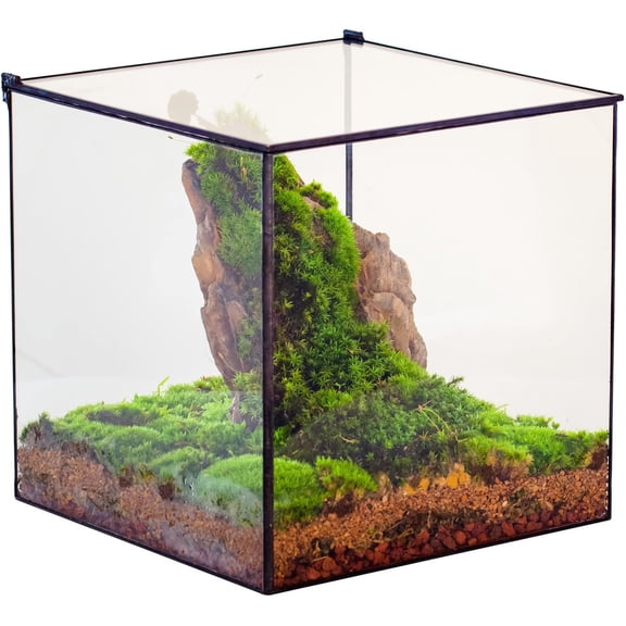 Closed Glass Terrarium with Lid - 10x10x10 Inches - Black Square Glass Planter Pot for Succulent - Home Tabletop Landscape - Garden Display Flower Pot, Handmade (No Plants)