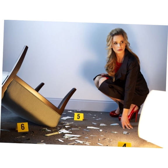 Closer Poster Kyra Sedgwick Crime Scene 27Inx40In for any room 27x40 Square Adults Best Posters
