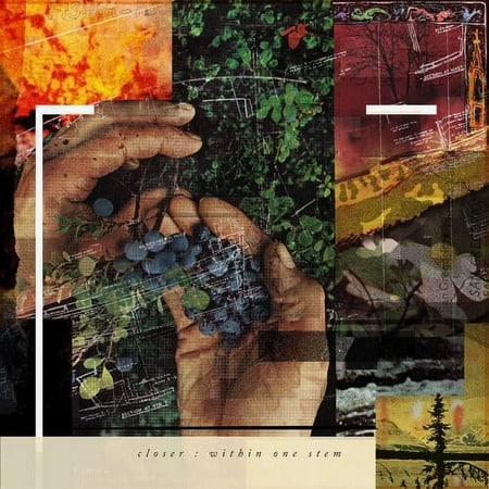 Within One Stem [LP] - VINYL