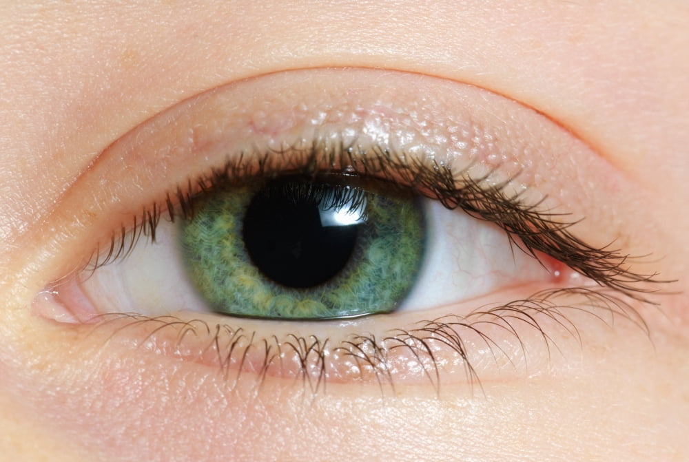 Closeup Of A Green Eye Canvas Art - Ben Welsh Design Pics (19 x 12)