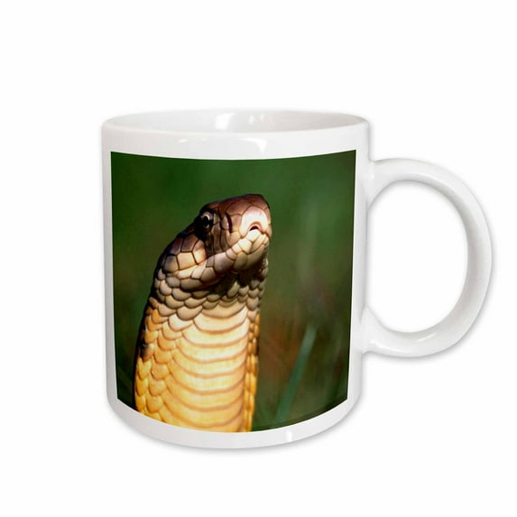 3drose, Closeup of a King Cobra, 11oz Mug