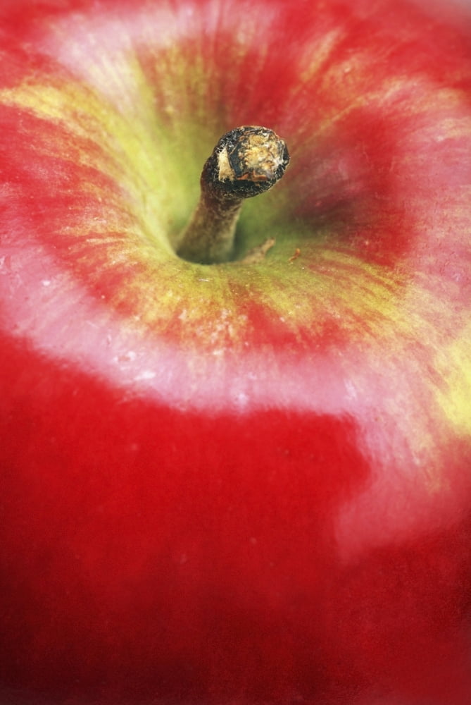 Closeup Of An Apple Canvas Art - Ron Nickel Design Pics (12 x 18)