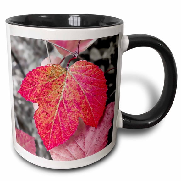 3drose, Closeup of an Sycamore Leaf Rendered in Red and Grey., 11oz Two-tone Black Mug