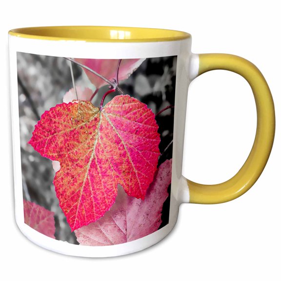 3drose, Closeup of an Sycamore Leaf Rendered in Red and Grey., 11oz Two-tone Yellow Mug