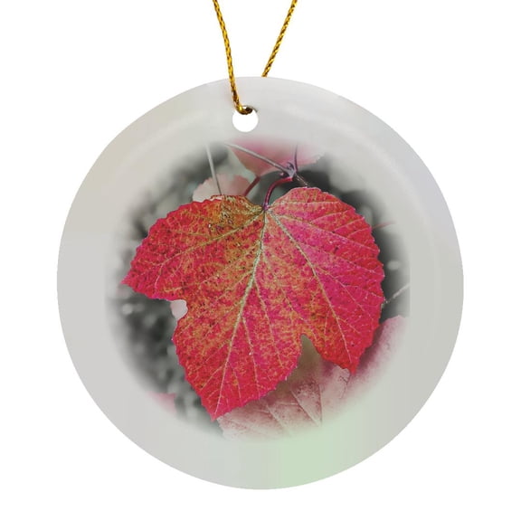 3drose, Closeup of an Sycamore Leaf Rendered in Red and Grey., Circle Porcelain Ornament