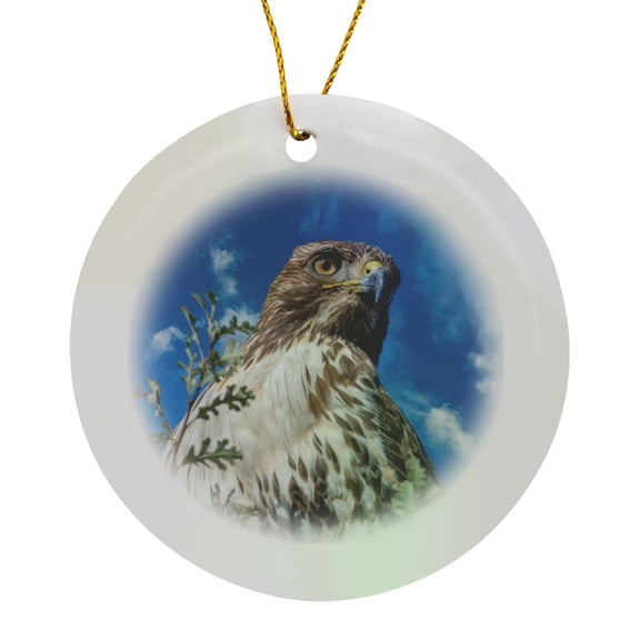 3drose, Closeup of Red Tailed Hawk., Circle Porcelain Ornament
