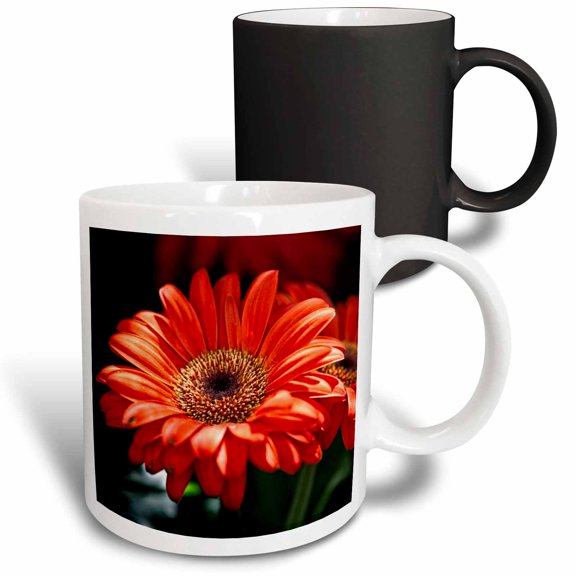 3drose, Closeup View of a Red Daisy Flower, 11oz Magic Transforming Mug