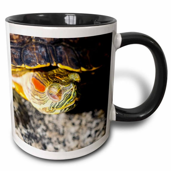 3drose, Closeup View of a Red-eared Turtle or Pond Terrapin, 11oz Two-tone Black Mug