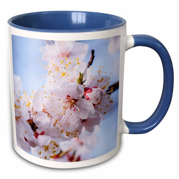 Closeup view of a pink bunch of cherry blossoms. Hanami season 15oz Two-Tone Blue Mug mug-272474-11