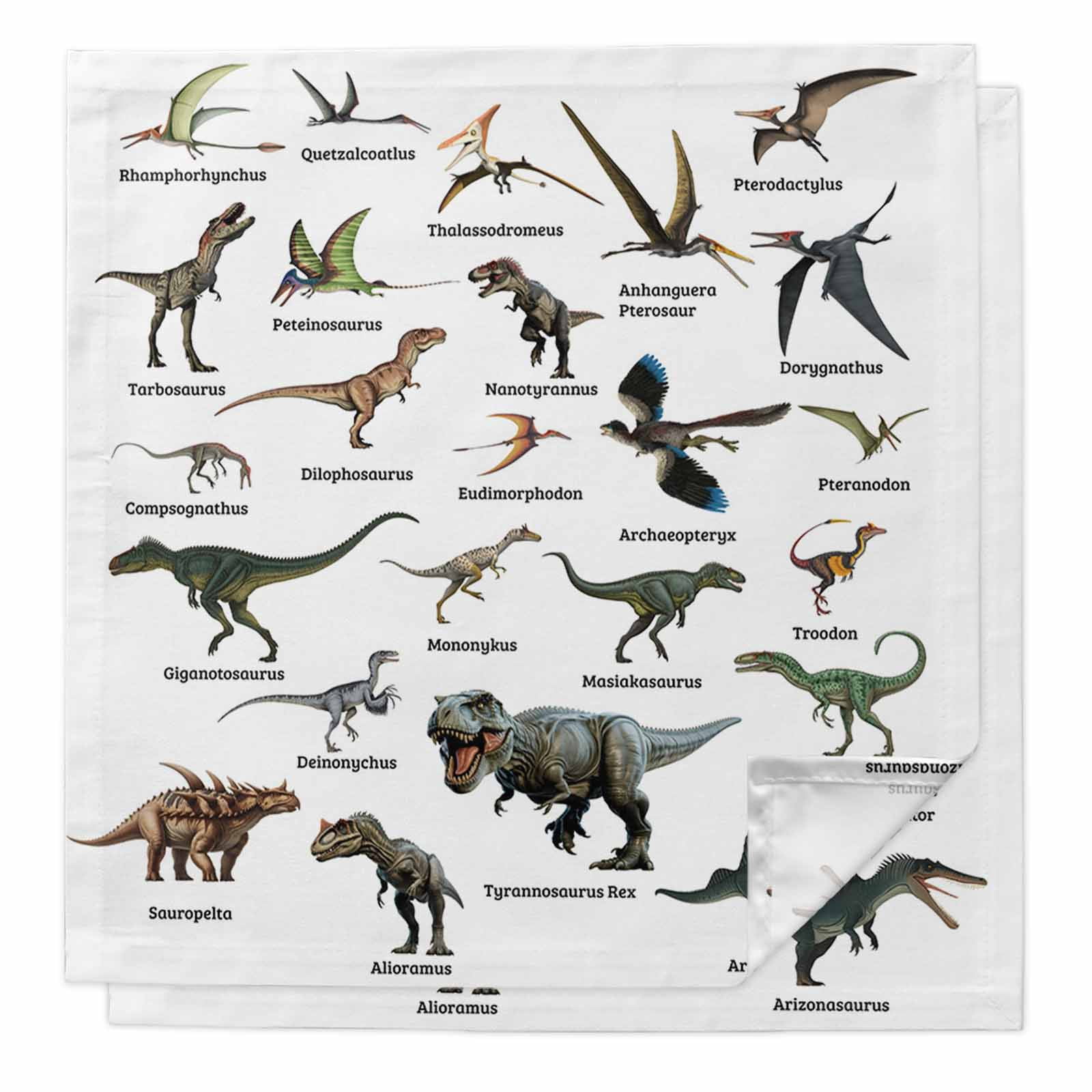 Cloth Napkins Set of 2 - 20x20 Inches, Funny Dinosaurs Washable ...