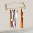 thumbnail image 1 of Clothes Display Gold Rack Storage Garment Clothes Store Wall-Mounted Modern Rack Clothes Gold Rack Storage Display Garment Wall-Mounted Clothes Store Modern Rack Clothes Rack Garment Storage Display, 1 of 3