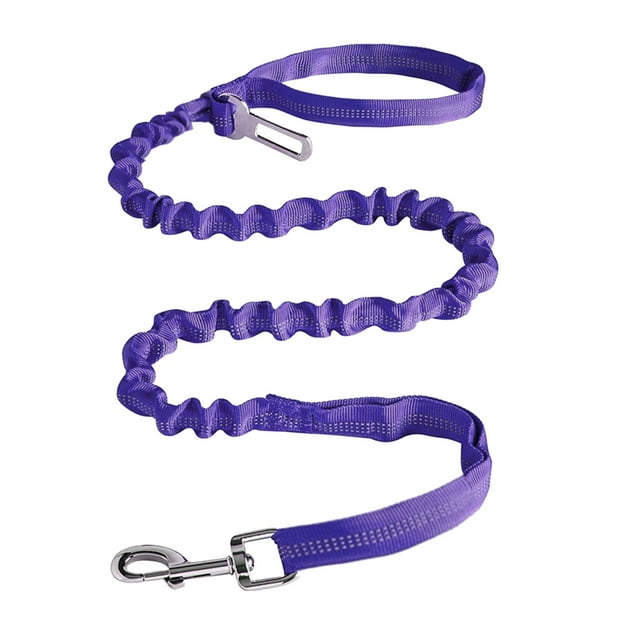 Clothes for Dogs Dog Hate Friends Forever Leash Light up Dog Leash