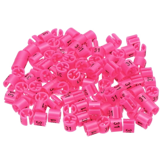 Clothes Hanger Marker Number 31 Tag Fit 3mm Rod Rose Red for Garment Clothing Color Coding, Pack of 100