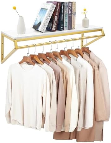Clothes Rack with Top Shelf, Modern Simple Clothing Store Heavy Duty ...