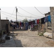 Clothes hanging outside houses, Alexandra, Johannesburg, Gauteng Province, South Africa Poster Print 9 x 12