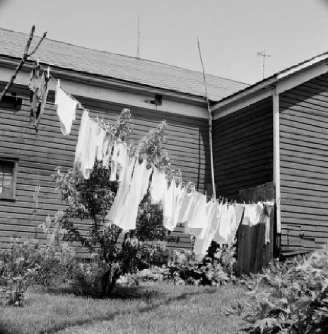 Clothes line in front of house Canvas Art - (24 x 36)