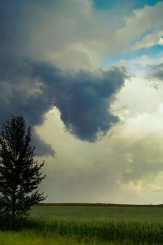 Cloud 3 Canvas Art - Roberta Murray (24 x 36)