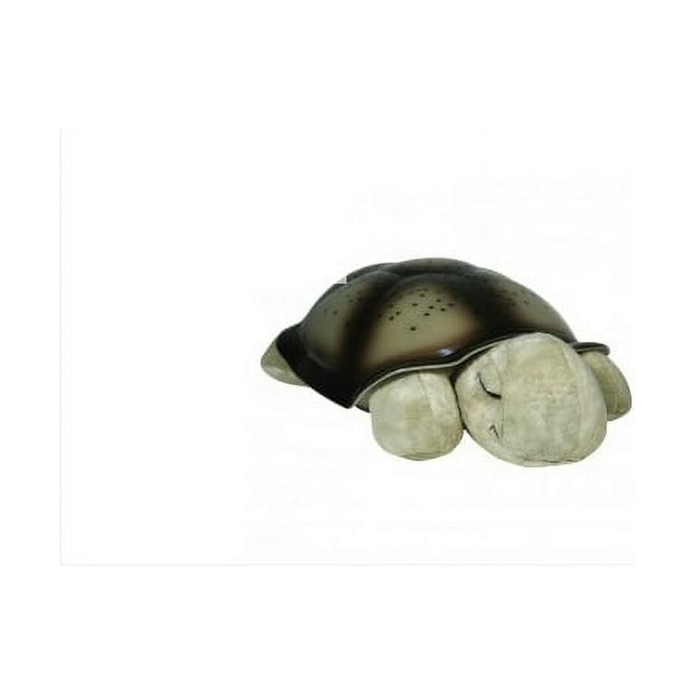 Cloud B Twilight Turtle Classic Mocha : .in: Toys & Games